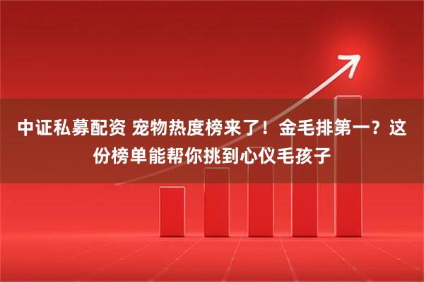 中证私募配资 宠物热度榜来了！金毛排第一？这份榜单能帮你挑到心仪毛孩子