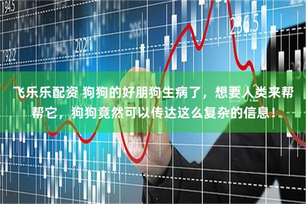 飞乐乐配资 狗狗的好朋狗生病了，想要人类来帮帮它，狗狗竟然可以传达这么复杂的信息！