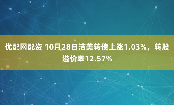 优配网配资 10月28日洁美转债上涨1.03%，转股溢价率12.57%